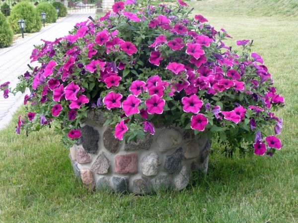 Akmenimis dekoruoti lauko ir vidaus vazonai, vazos