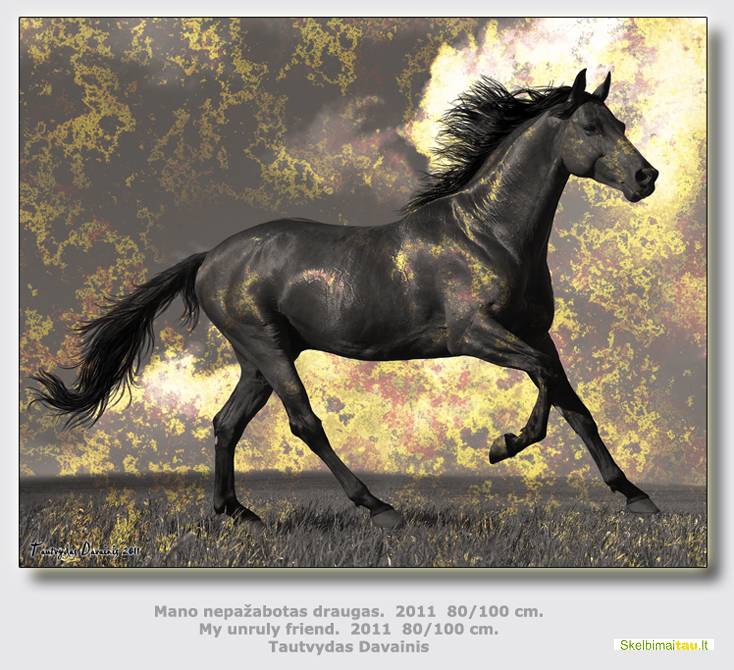 Autoriniai grafikos darbai jūsų namui,butui,ofisui