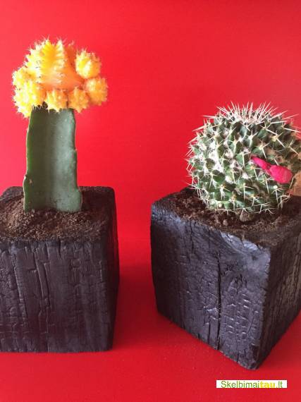 Degintos medienos interjero detalės