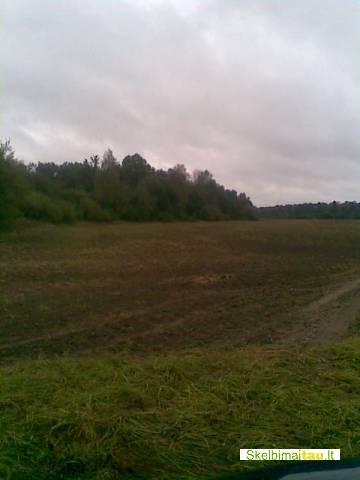 8h z.u.p.s.