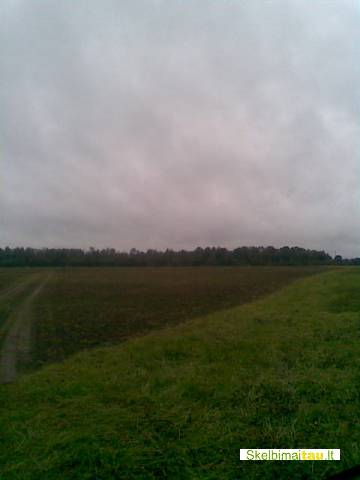 8h z.u.p.s.