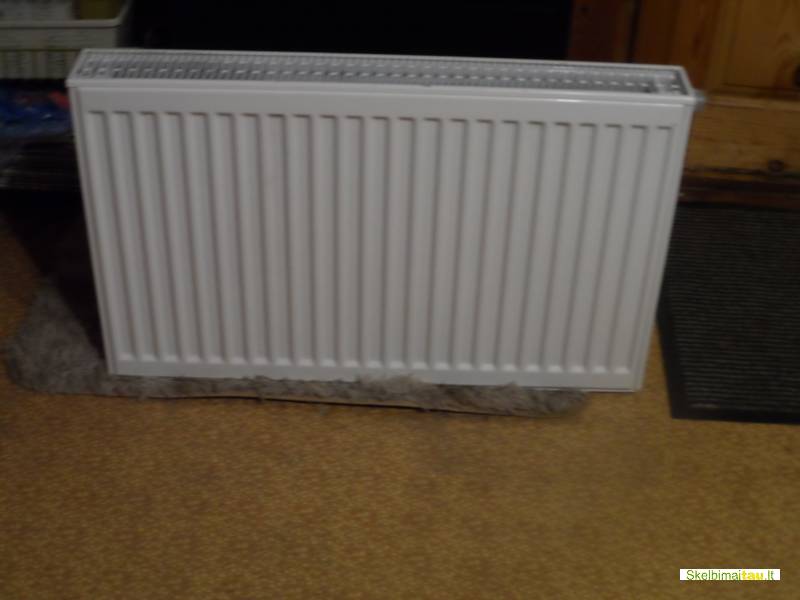 Boileris radiatorius
