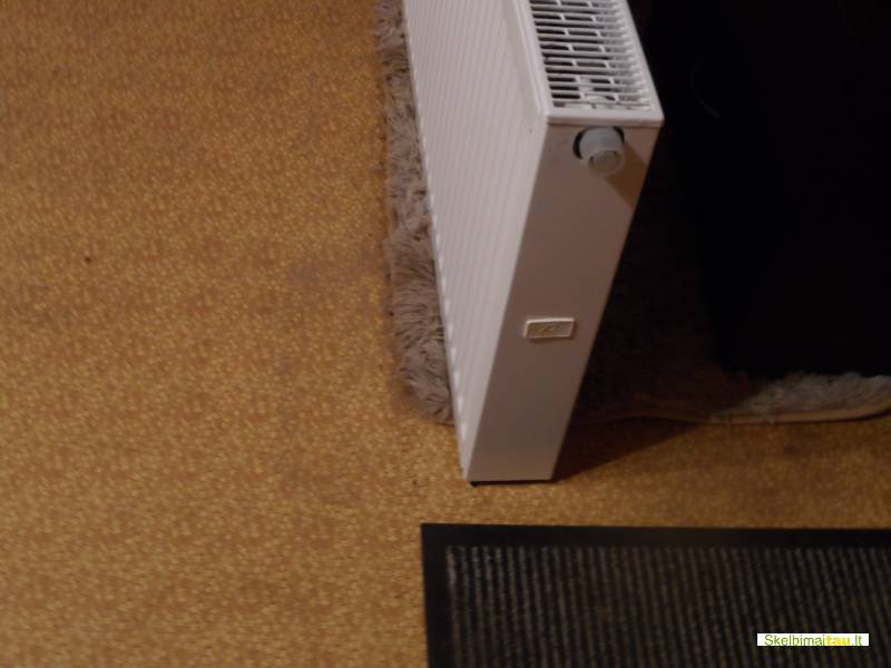 Boileris radiatorius