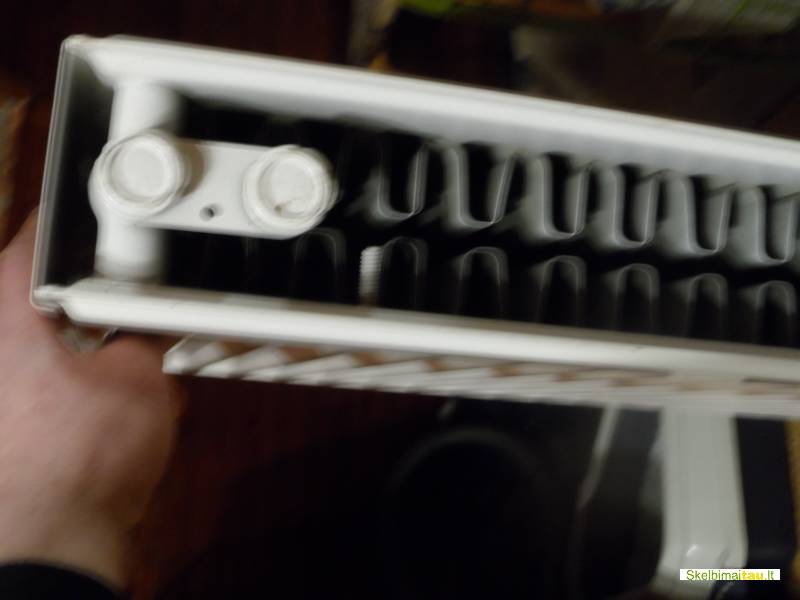 Boileris radiatorius