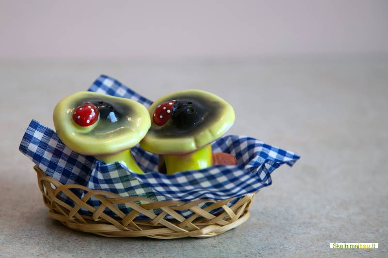 Erdvaus romantiško stiliaus apartamentų nuoma kaune