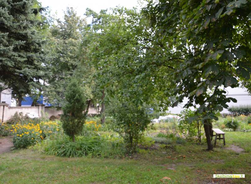 Parduodu 4 kamb buta marijampoleje