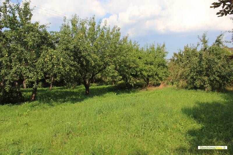 Namas dembavoje, panevėžys