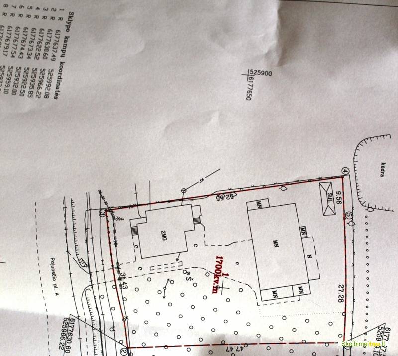 Namas dembavoje, panevėžys