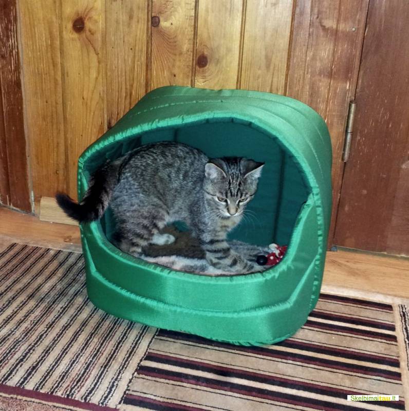 Namelis katei,katino namelis