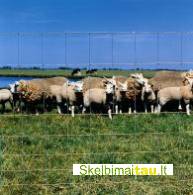 Agro tvoros _gyvūnų aptarai