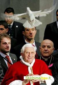 Balti balandziai-meiles ir istikimybes simbolis