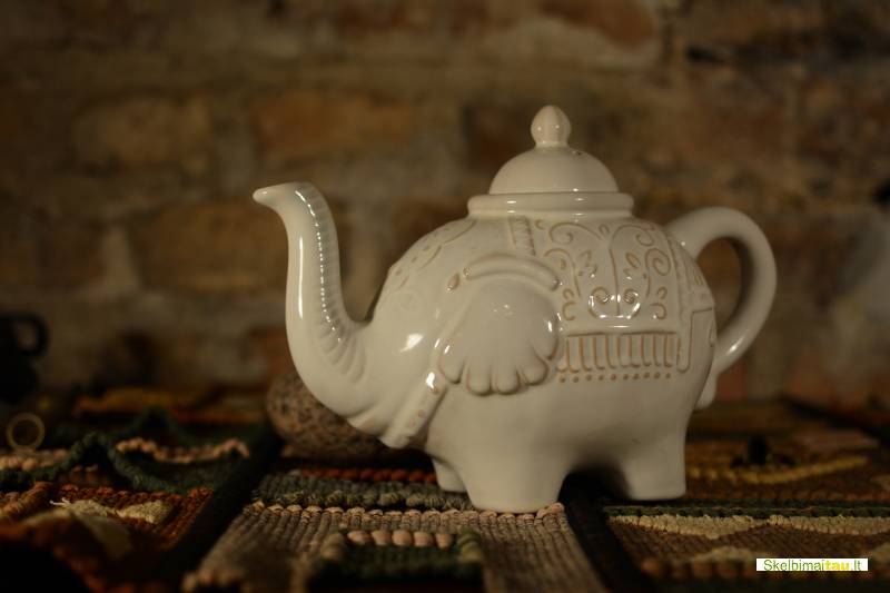 Balti drambliai salės nuoma vaikų gimtadieniams