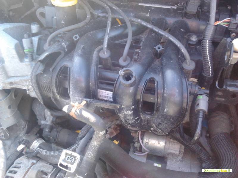 Dalimis - renault twingo 2009 1.2l 1149cm3 43kw d7f benzinas