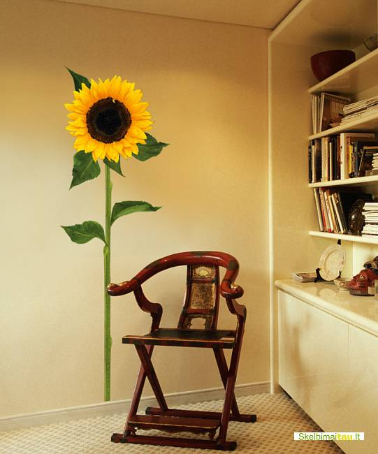 Dekroruoju sienas, baldus...