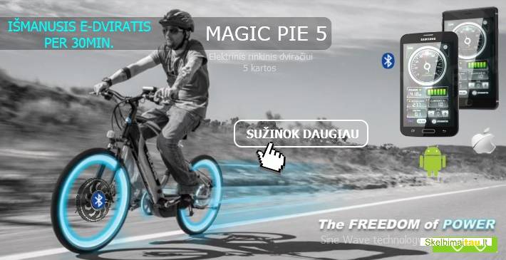 Elektrinis dviratis per 30 min