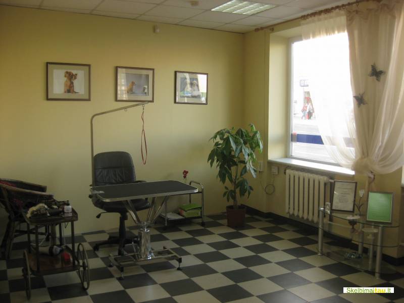 Šunų grožio salonas/kirpykla šiauliuose