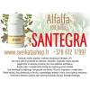 Alfalfa 100 kaps -  maisto papildas santegra / mob 8 612 17