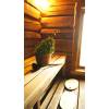 Baidarių nuoma. plaukimas dubysos upe. tel.868774147
