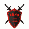 Licencijuota saugos tarnyba ekso