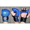 Pirštinės pankration ,mma pirštinės,gloves mma,gloves pankra